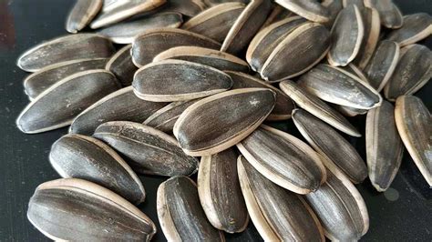 Georgia reveals volume of exported sunflower seeds - Trend.Az