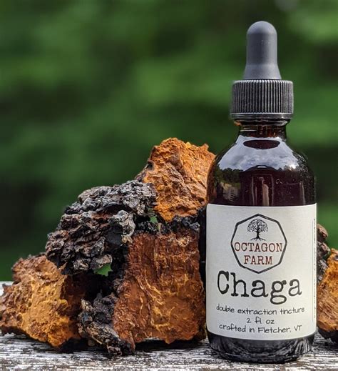 Chaga Double Extraction Tincture – Octagon Farm