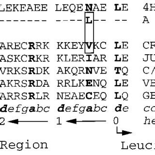 Structure of A-CREB. Protein sequence of the acidic amphipathic ...