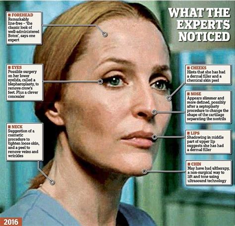 BotoX Files: Fans took to social media to question how Gillian Anderson maintainer her ever ...