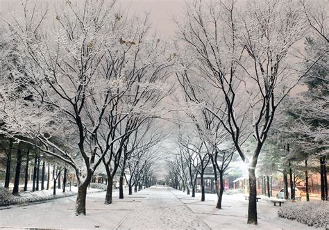 Winter at Seoul. | Korea winter, Snow adventure, Scenery