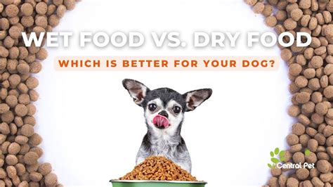 Dogs: Wet Food vs. Dry Food. Which is Better?