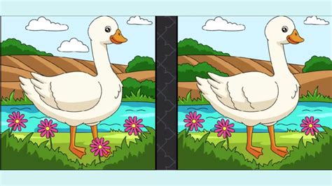 Brain Teaser Spot Difference Puzzle: Can You Spot 3 Differences In ...