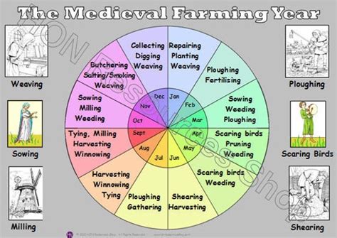 Medieval Farming Year Illustrated Poster by HONResourcesShop