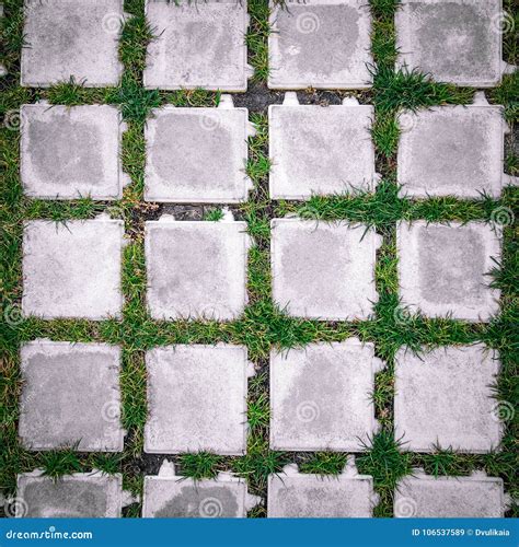 Top View Square Tiles with Green Grass Stock Image - Image of gardening ...