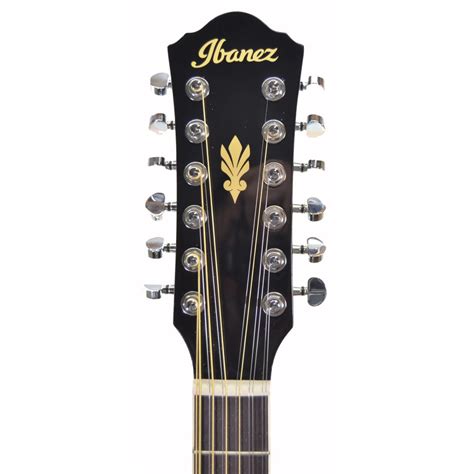 Ibanez AEG1812II-BK Acoustic/Electric 12 String Guitar | The Guitar Hangar