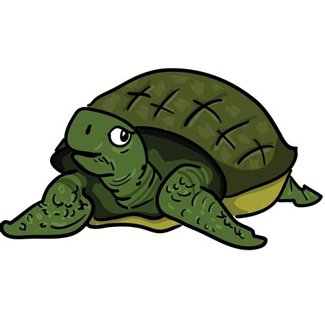 Free Tortoise Cliparts, Download Free Tortoise Cliparts png images, Free ClipArts on Clipart Library