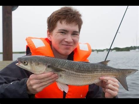 Mullet Fishing In Christchurch Harbour (November 2022)