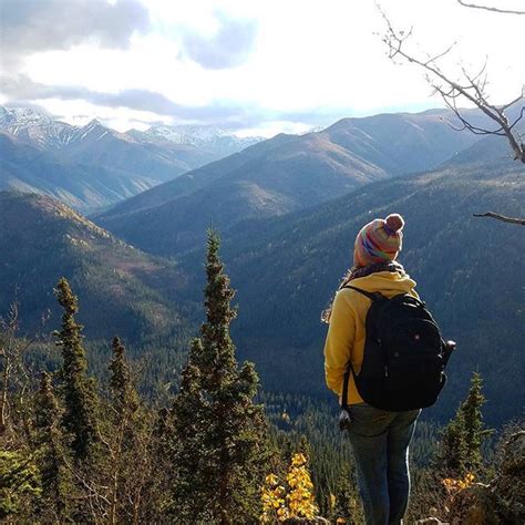 On a hike Denali National Park . . . #denali #denalinationalpark #alaska #travel #travelphotogr ...