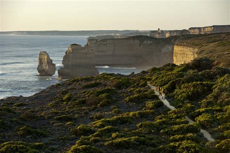 Great Ocean Walk Tour - AllTrails Walking Tours — AllTrails Bicycle Tours