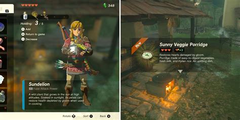 Hylian Rice Hunt: Tips and Tricks for Tears of the Kingdom