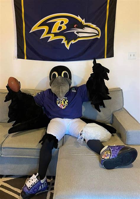 Ravens’ mascot Poe recovering after injury during halftime event Saturday