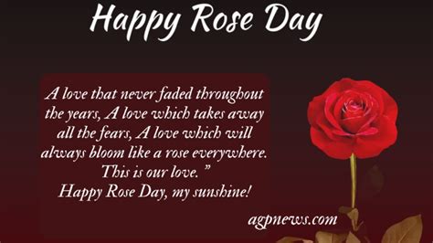 Rose Day Quotes, Wishes and Messages - AGP News