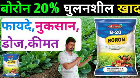 बोरोन 20% खाद । Boron 20% । Boron Fertilizer Benefits । बोरोन खाद के फायदे और नुकसान । Boron ...