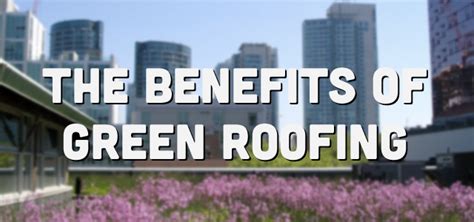 Green Roof Benefits - Essential Flat Roofing