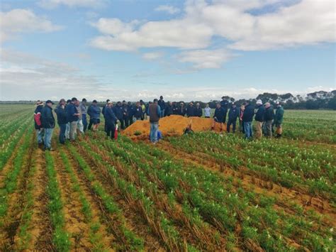 Dryland farming tour - NACC - Northern Agricultural Catchments Council