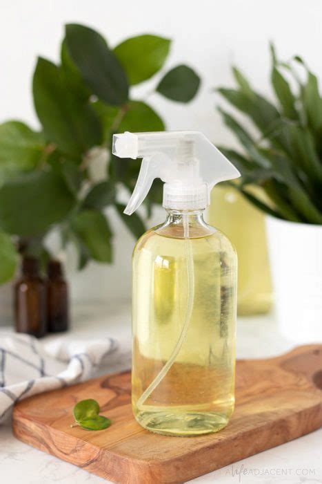 DIY Disinfectant Spray without Rubbing Alcohol - A Life Adjacent