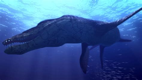 Kronosaurus Pictures & Facts - The Dinosaur Database