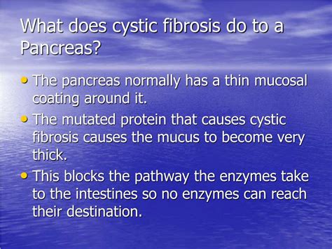 PPT - Cystic Fibrosis and The Effects on the Pancreas PowerPoint ...