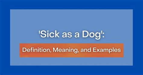 ‘Sick as a Dog’: Definition, Meaning and Examples