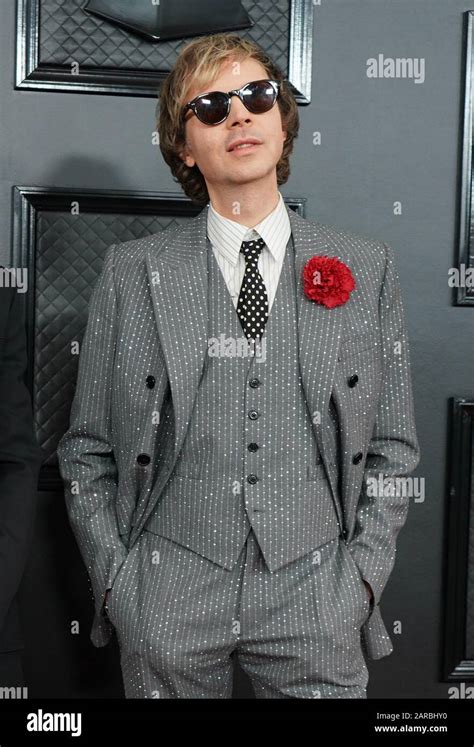 LOS ANGELES, CA - JANUARY 26: Beck at the 62nd Grammy Awards at the ...