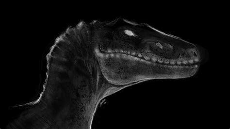 JP3 Raptor by Borsio on DeviantArt