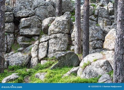 Granite Rock Formations in Pine Tree Forest Stock Image - Image of ...