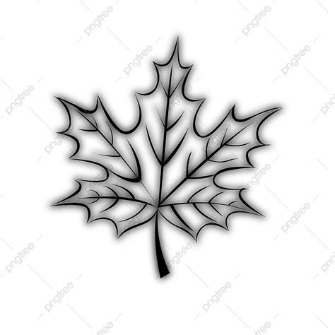 Clip Art Leaf Outline