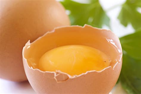 Raw eggs: worth the risk? | Goose Creek Simple Chiropractic | Woodland Park, Colorado