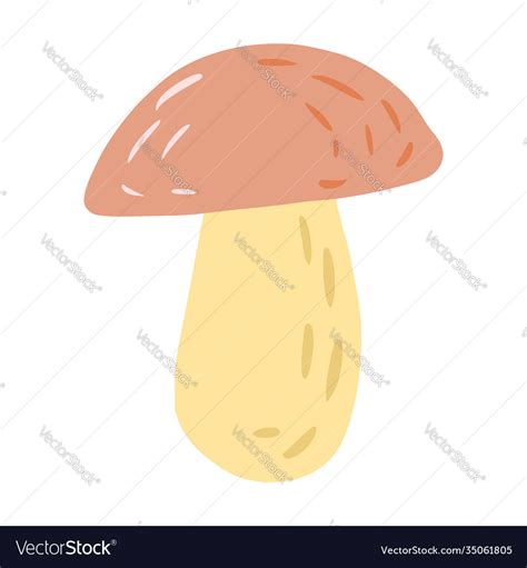 Mushroom isolated on white background Royalty Free Vector