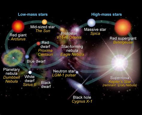 H-R Diagram and Star Life Cycles | Astronomy Lab | | Course Hero