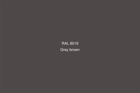 RAL 8019 Colour (Grey brown) - RAL Brown colours | RAL Colour Chart UK