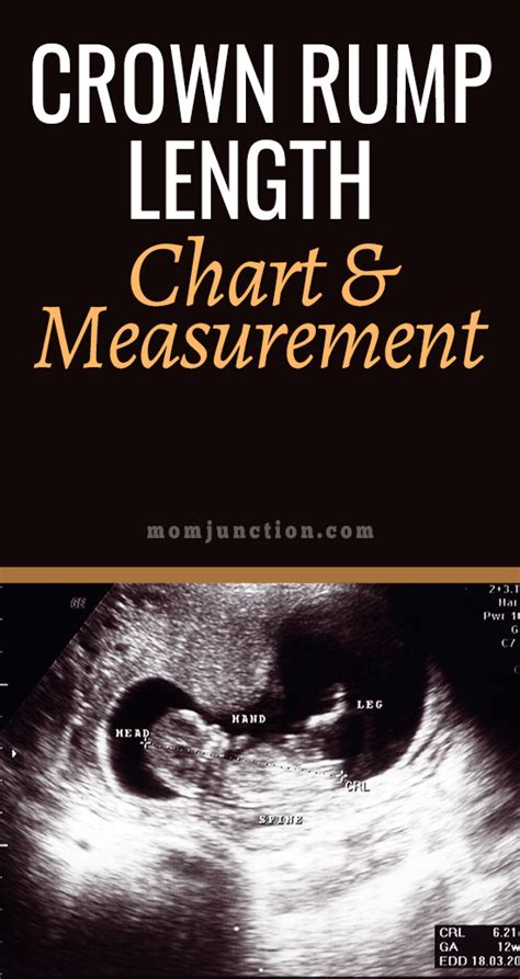 Crown Rump Length Chart And Measurement