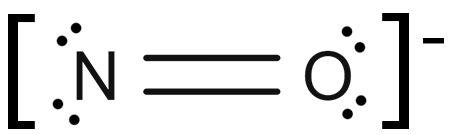 Draw the Lewis structure for nitric oxide (NO^-) ion. | Homework.Study.com