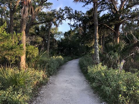 Guide To Edisto Beach State Park South Carolina - Anchors Up Carolina