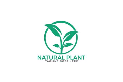 Natural Plant logo design. (157182) | Logos | Design Bundles