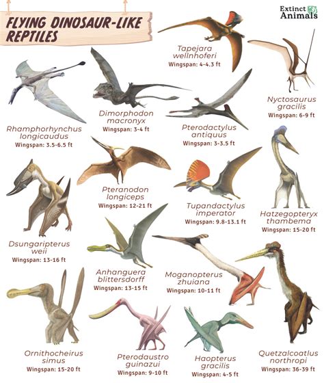 Flying Dinosaurs Types