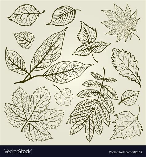 Autumn leaf design Royalty Free Vector Image - VectorStock