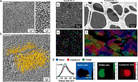 Cryogenic electron microscopy (cryo-EM) for soft polymer materials ...