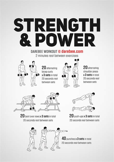 Strength & Power Workout | Strength workout, Dumbell workout, Boxer workout