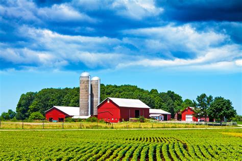 Farmkrise/USA: Farm-Pleiten auf 8-Jahreshoch | agrarheute.com