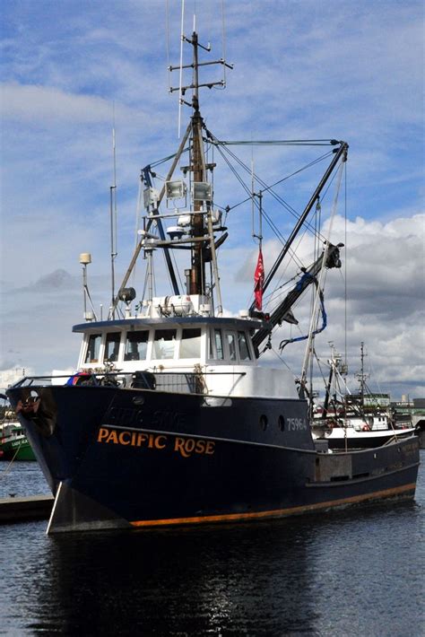 The fishing vessel Pacific Rose at Fishermen's Terminal, its home port, just a stone's throw ...