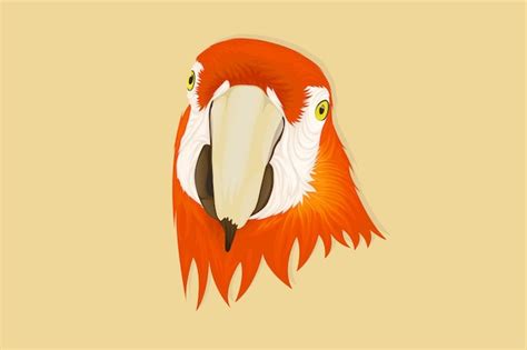 Premium Vector | Parrot face realistic hand drawing style