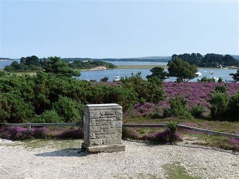 RSPB Arne Nature Reserve | Swanage.co.uk