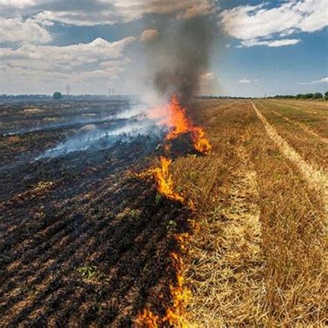 Stubble burning (Source: TERI (teriin.org)) Impacts of Stubble Burning... | Download Scientific ...