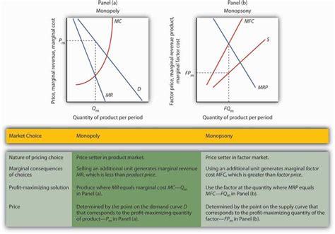 Reading: Monopoly and Monopsony: A Comparison | Microeconomics