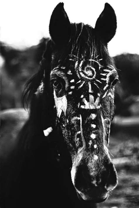 Horses, Native american horses, Pretty horses