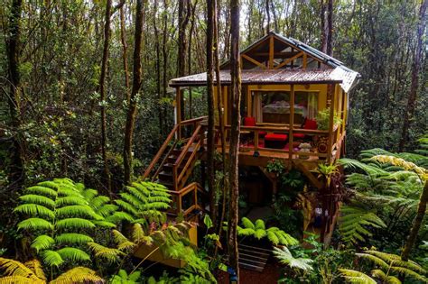 8 Treehouse Rentals in Hawaii That’ll Elevate Your Tropical Getaway ...