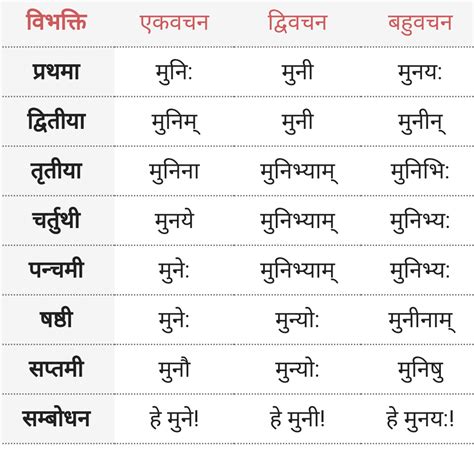 मुनि शब्द के रूप - Muni ke roop - Sanskrit