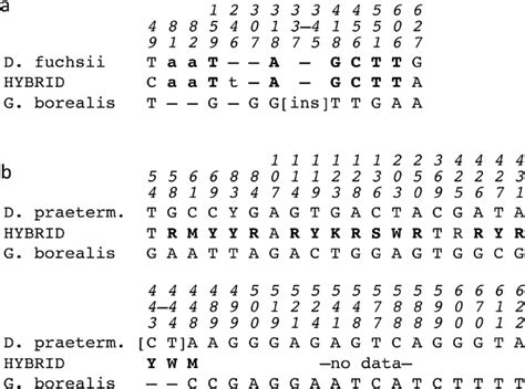 DNA sequences (5 ′-3 ′ ) of representative portions of (a) the ...